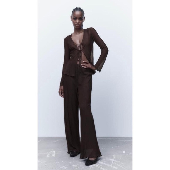 Zara Tops - Zara Sheer Tie top